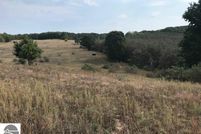 Undeveloped Land in Manistee County, Michigan