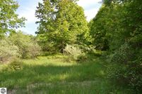 Undeveloped Land in Antrim County, Michigan