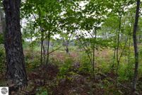 Undeveloped Land in Kalkaska County, Michigan