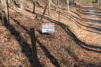 Farm and Ranch in Campbell County, Tennessee