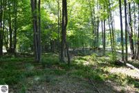 Land in Kalkaska County, Michigan