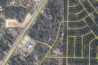 Undeveloped Land in Washington County, Florida