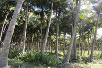 Land in Lee County, Florida