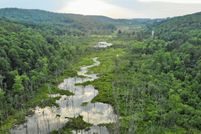 Farm and Ranch in Madison County, New York