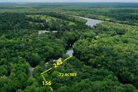 Undeveloped Land in Citrus County, Florida