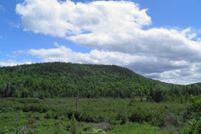 Timberland Property in Clinton County, New York