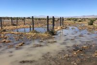Undeveloped Land in Washoe County, Nevada