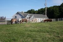 Land in Juneau County, Wisconsin