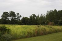 Undeveloped Land in Polk County, Florida