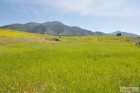 Undeveloped Land in Bonneville County, Idaho