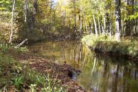 Undeveloped Land in Allegan County, Michigan