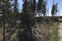 Undeveloped Land in Kenai Peninsula Borough, Alaska