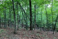 Undeveloped Land in Clay County, North Carolina