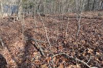 Undeveloped Land in Clay County, North Carolina