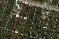 Undeveloped Land in Montgomery County, Texas