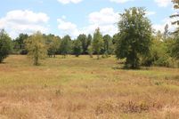 Undeveloped Land in Grimes County, Texas