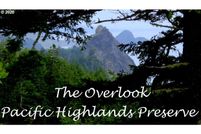 Undeveloped Land in Curry County, Oregon