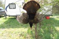 Land in Athens County, Ohio