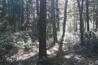 Undeveloped Land in Mason County, Michigan