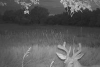 Farm and Ranch in Cloud County, Kansas