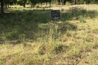 Undeveloped Land in Bexar County, Texas