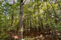 Undeveloped Land in Wayne County, Mississippi