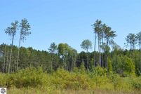 Undeveloped Land in Benzie County, Michigan