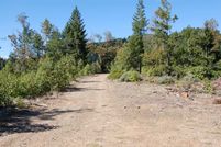 Timberland Property in Josephine County, Oregon