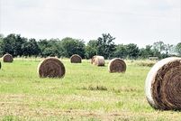 Hunting Property in Choctaw County, Oklahoma