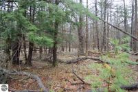 Undeveloped Land in Antrim County, Michigan