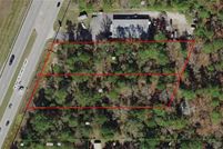 Undeveloped Land in Citrus County, Florida