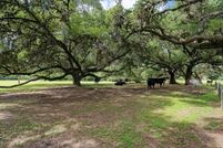 Undeveloped Land in Austin County, Texas