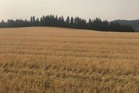 Land in Kootenai County, Idaho