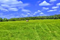 Farm and Ranch in Robertson County, Texas