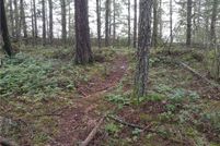 Undeveloped Land in Thurston County, Washington