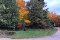 Undeveloped Land in Manistee County, Michigan