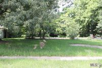 Undeveloped Land in East Baton Rouge Parish, Louisiana