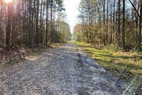 Undeveloped Land in Saint Tammany Parish, Louisiana