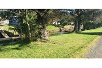 Undeveloped Land in Tillamook County, Oregon