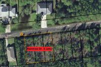 Undeveloped Land in Bay County, Florida