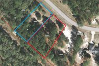 Undeveloped Land in Putnam County, Florida