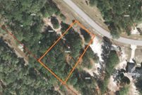 Undeveloped Land in Putnam County, Florida