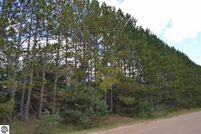 Undeveloped Land in Manistee County, Michigan