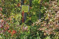 Undeveloped Land in Douglas County, Minnesota