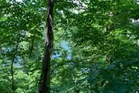 Farm and Ranch in Carter County, Tennessee