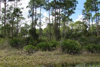 Undeveloped Land in Lee County, Florida