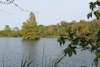 Undeveloped Land in Henderson County, Texas