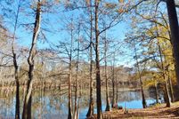 Hunting Property in Marion County, Mississippi