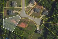 Undeveloped Land in Henry County, Georgia