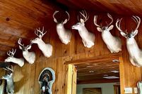 Farm and Ranch in Wilkinson County, Mississippi